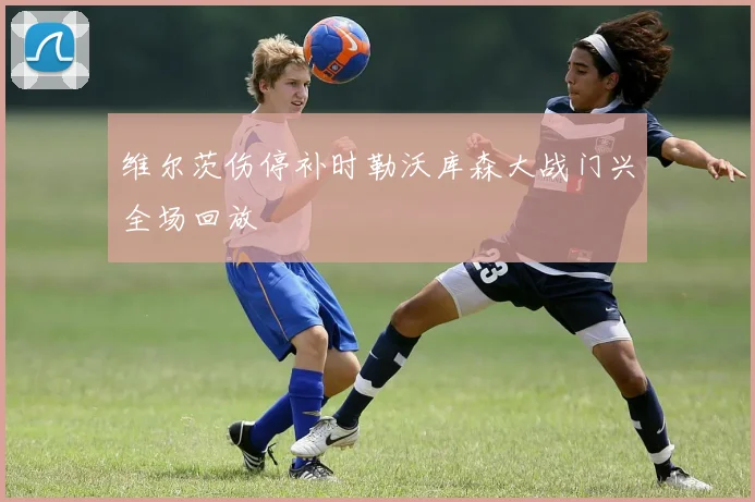 维尔茨伤停补时勒沃库森大战门兴全场回放