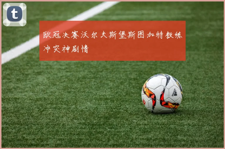 欧冠决赛沃尔夫斯堡斯图加特教练冲突神剧情