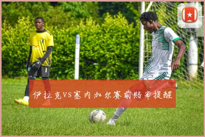 伊拉克vs塞内加尔赛前赔率提醒