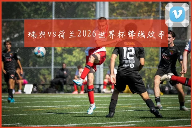 瑞典vs荷兰2026世界杯锋线效率