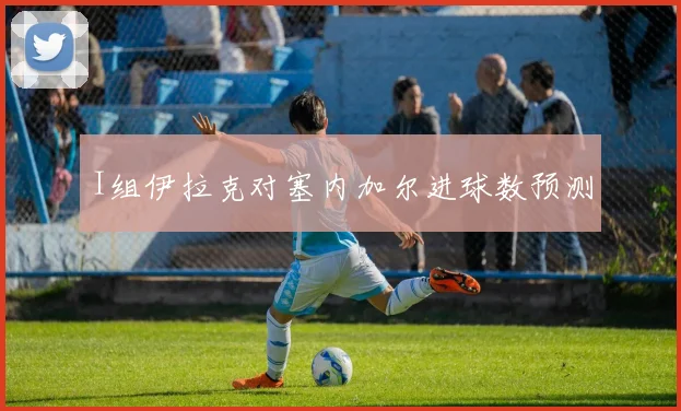 I组伊拉克对塞内加尔进球数预测