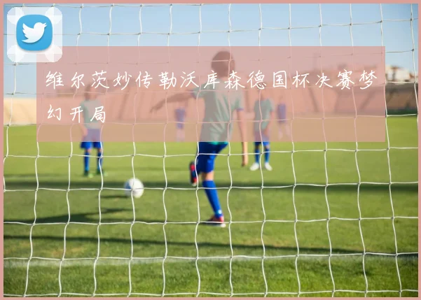 维尔茨妙传勒沃库森德国杯决赛梦幻开局
