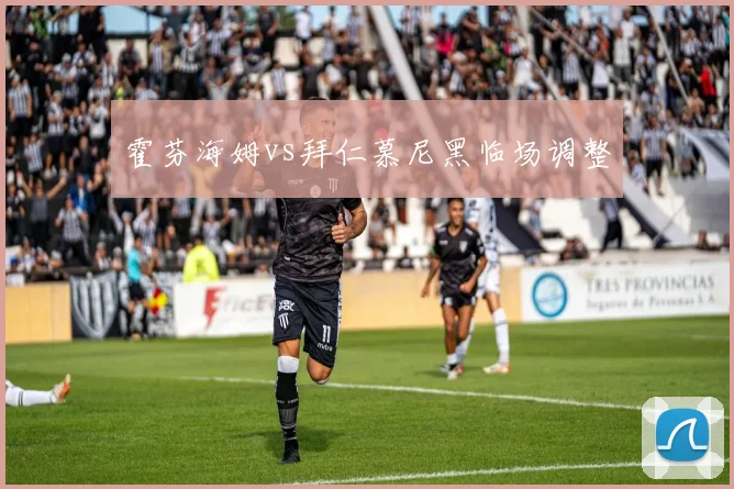 霍芬海姆vs拜仁慕尼黑临场调整